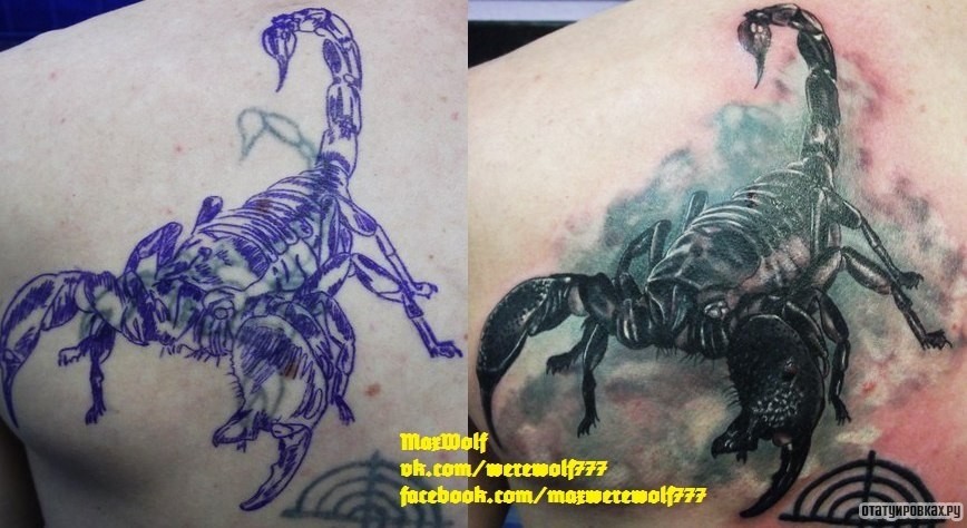 Фотография татуировки под названием «Скорпион каверап»