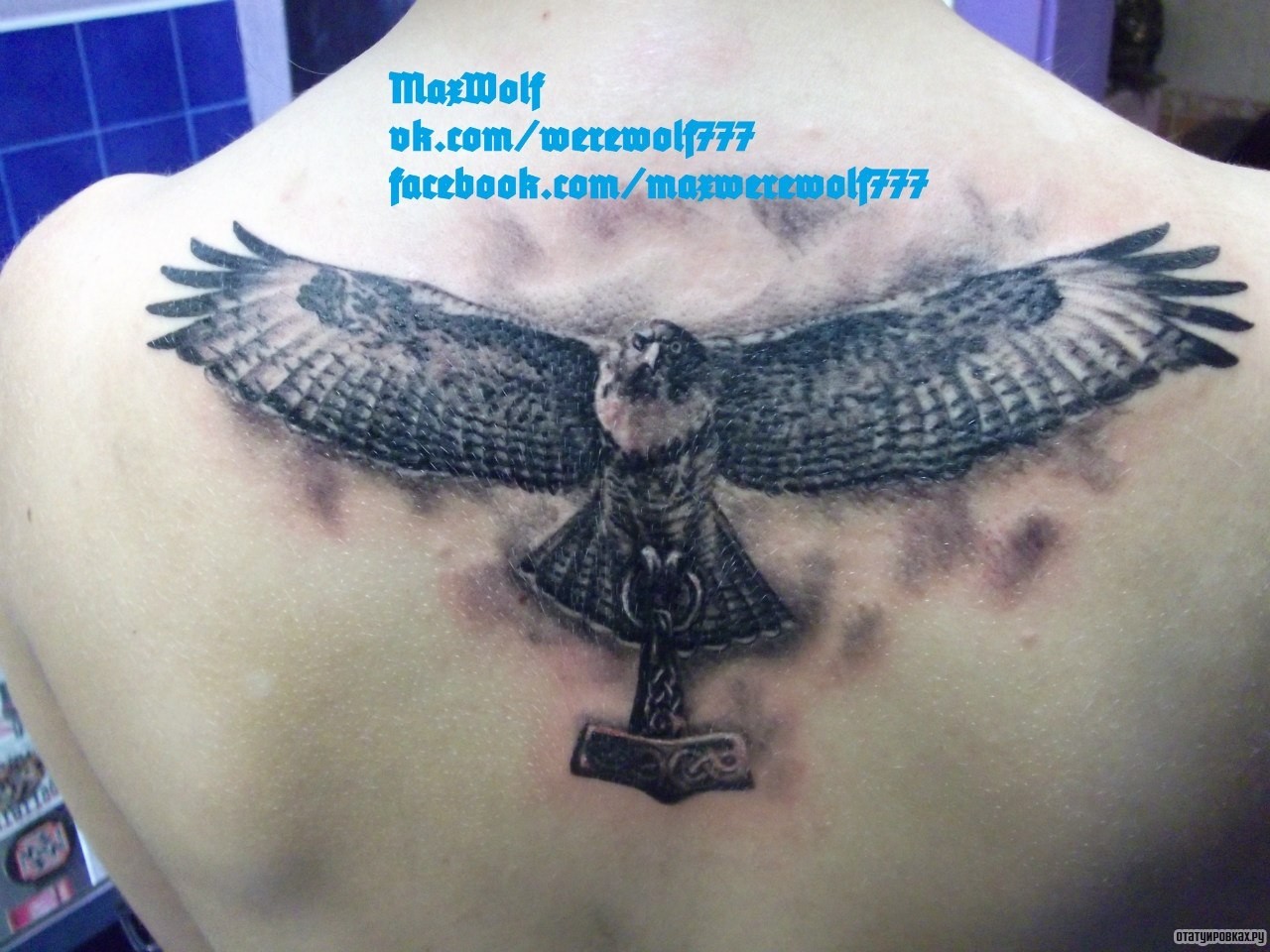 Фотография татуировки под названием «Орел с кельтским якорем»