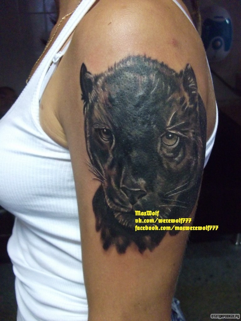 Фотография татуировки под названием «Черная пантера»