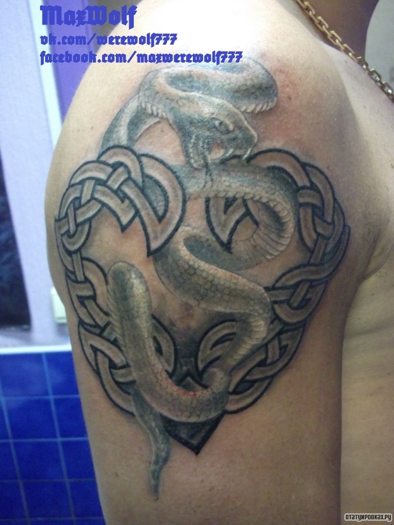 Фотография татуировки под названием «Змея с узорами»