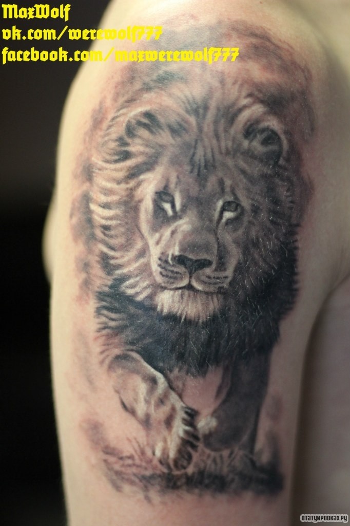 Фотография татуировки под названием «Лев бежит»
