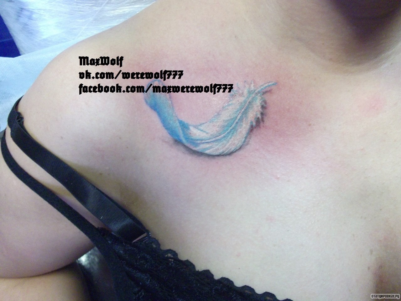Фотография татуировки под названием «Голубое перо»