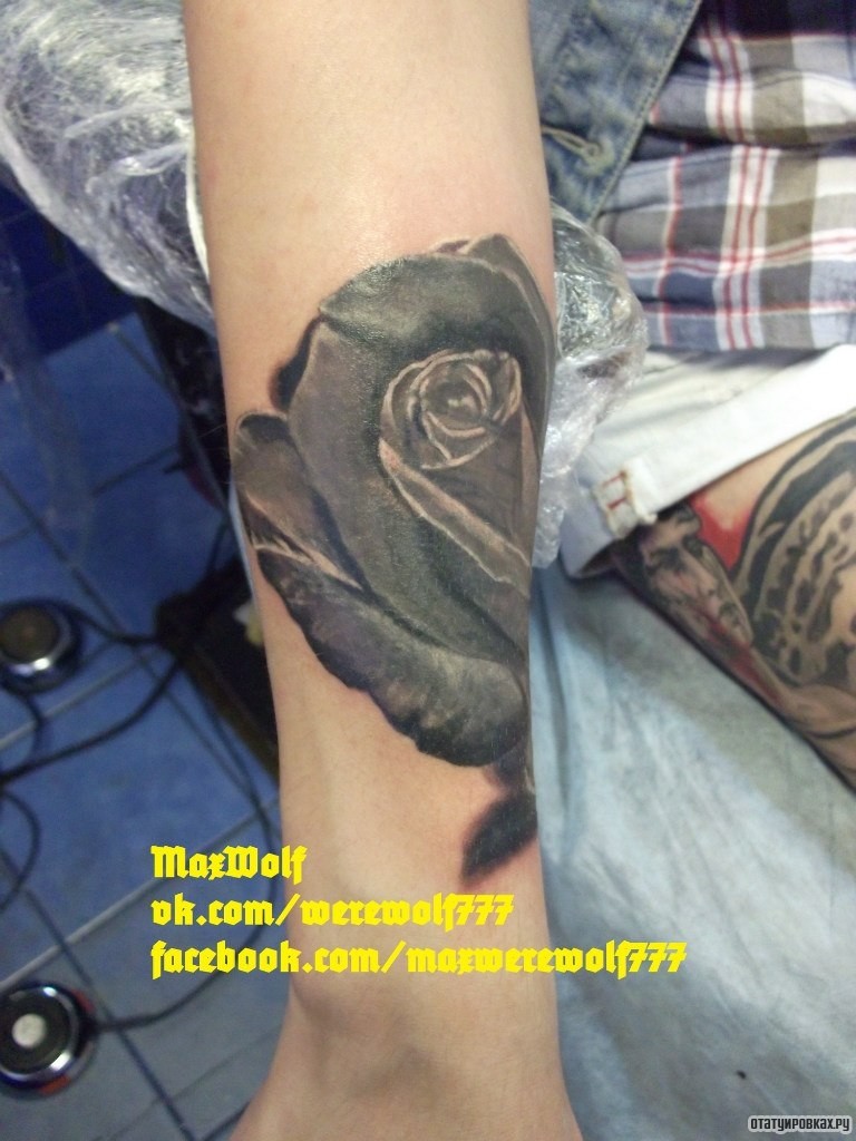 Фотография татуировки под названием «Черная роза»