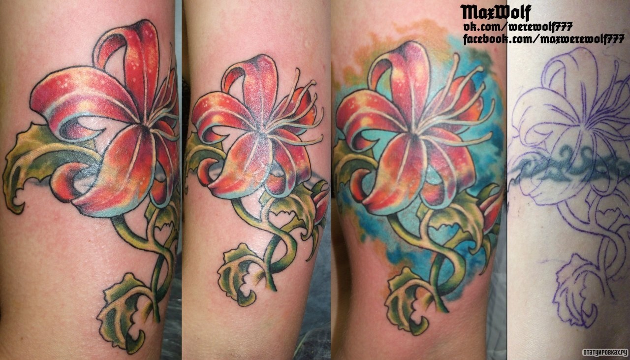 Фотография татуировки под названием «Лилия цветок со стеблем»