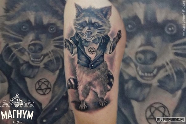 Фотография татуировки под названием «Злой енот»