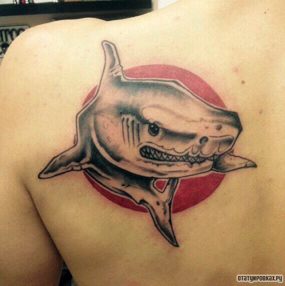 Фотография татуировки под названием «Акула небольшая»
