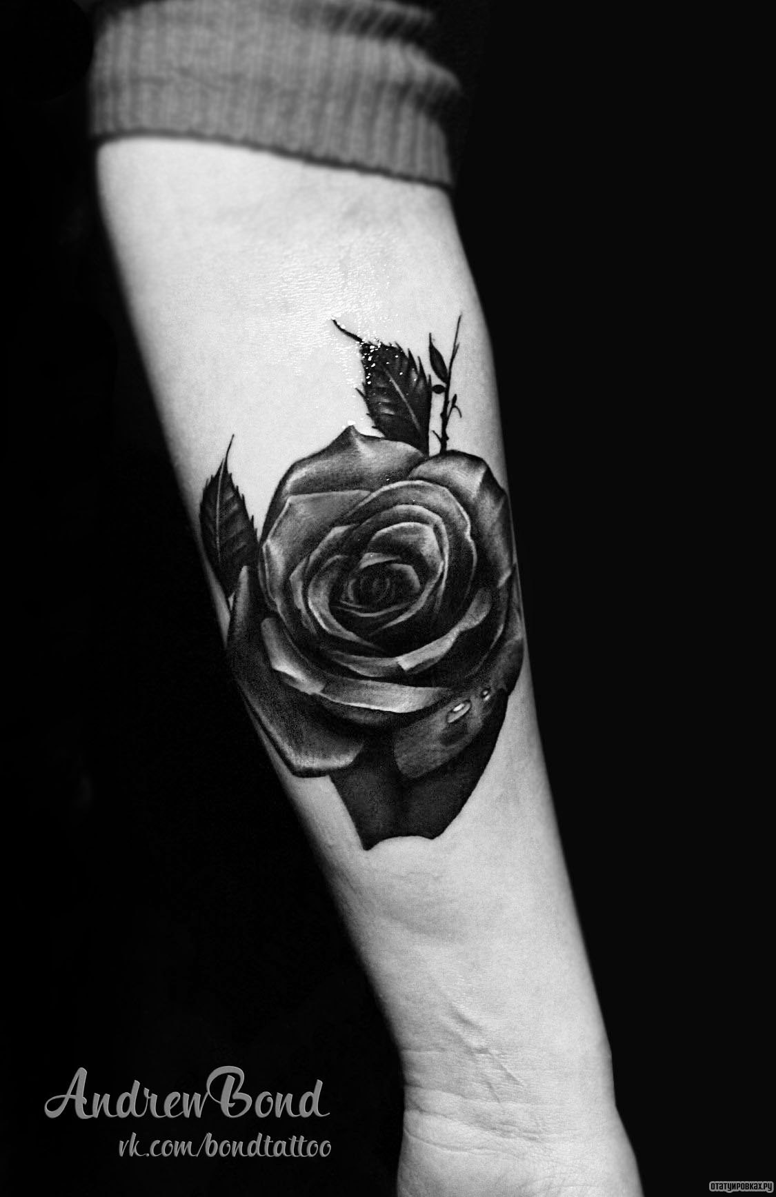 Фотография татуировки под названием «Бора и листья в черном цвете»