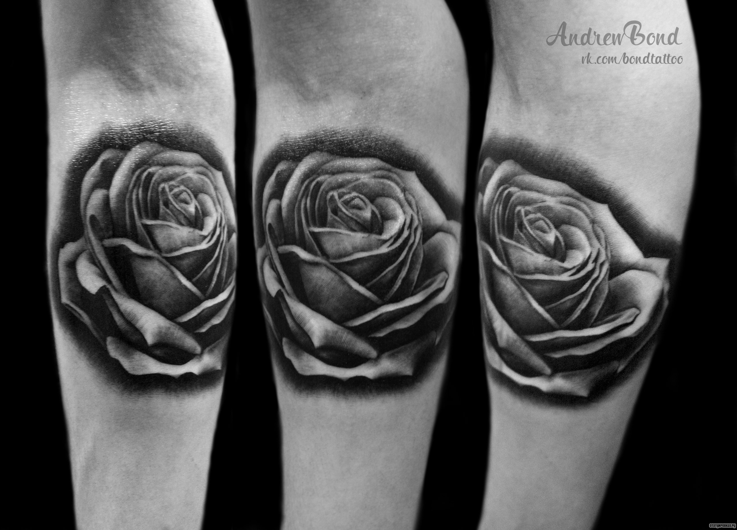 Фотография татуировки под названием «Черная роза на локте»