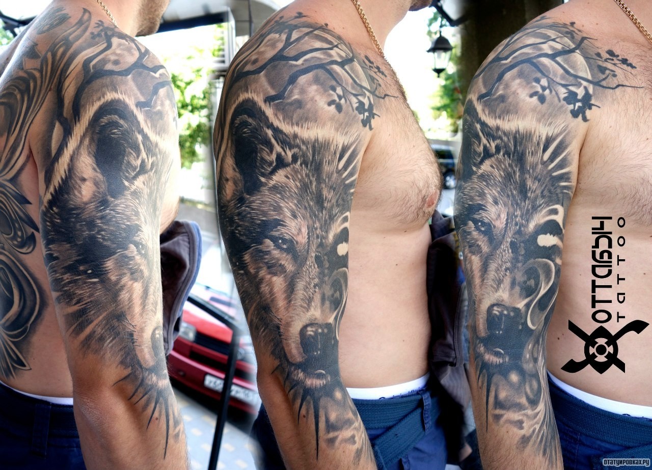 Фотография татуировки под названием «Потрет озлобленного волка»