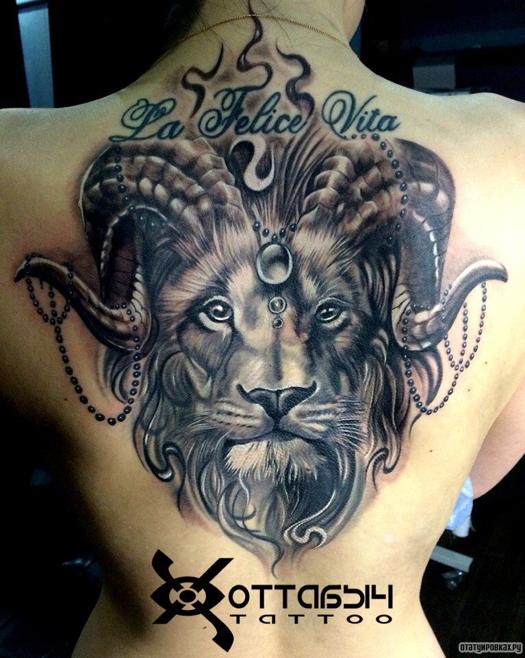 Фотография татуировки под названием «Два зверя в одном»