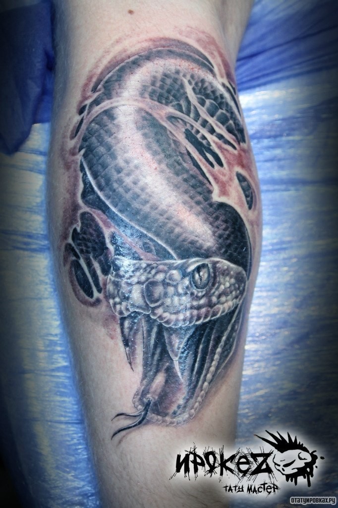 Фотография татуировки под названием «Шипящая змея»