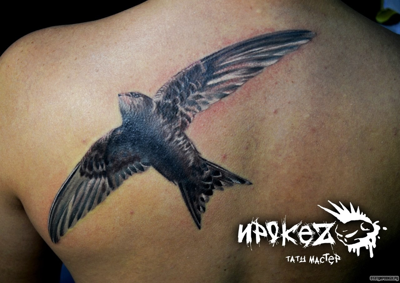 Фотография татуировки под названием «Летящая птичка»