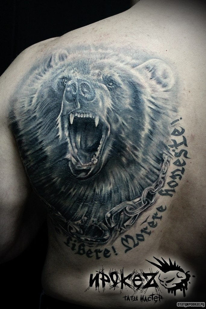 Фотография татуировки под названием «Оскал медведя с цепью на шее»