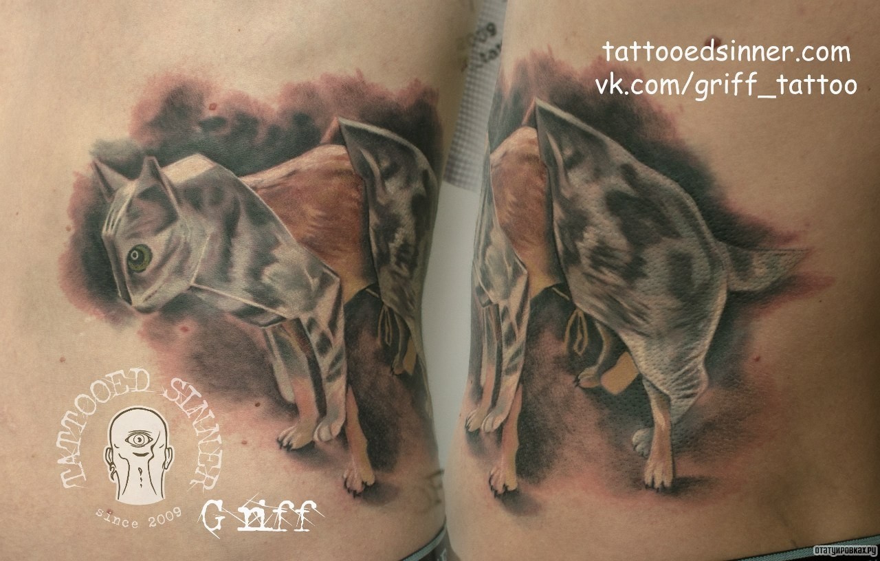 Фотография татуировки под названием «Собака в обличии кота»
