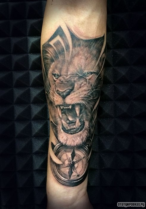 Фотография татуировки под названием «Оскал льва и компас»