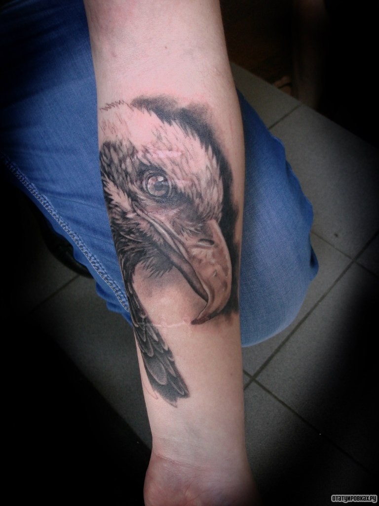 Фотография татуировки под названием «Клюв орла»