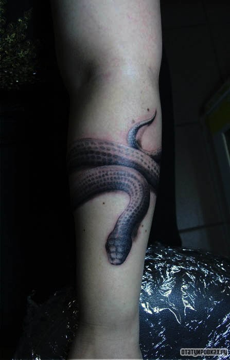 Фотография татуировки под названием «Ползующая змея»