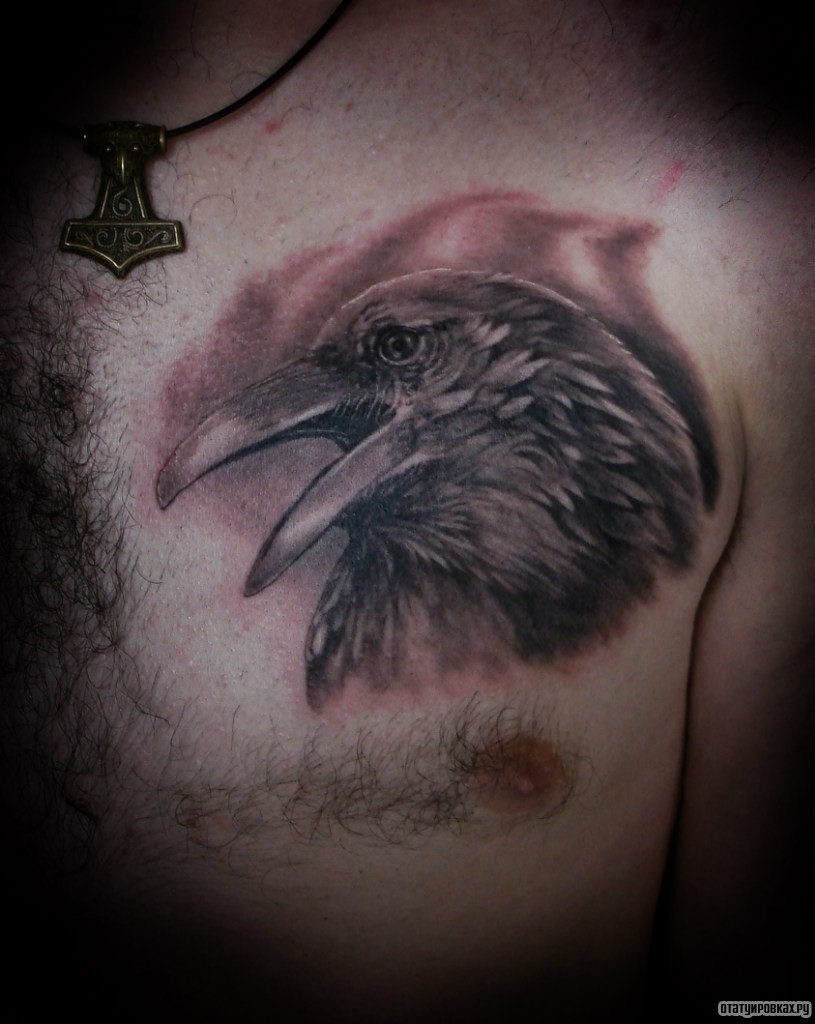 Фотография татуировки под названием «Птица с открытым клювом»