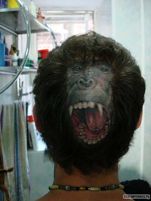 Фотография татуировки под названием «Морда гориллы на голове»