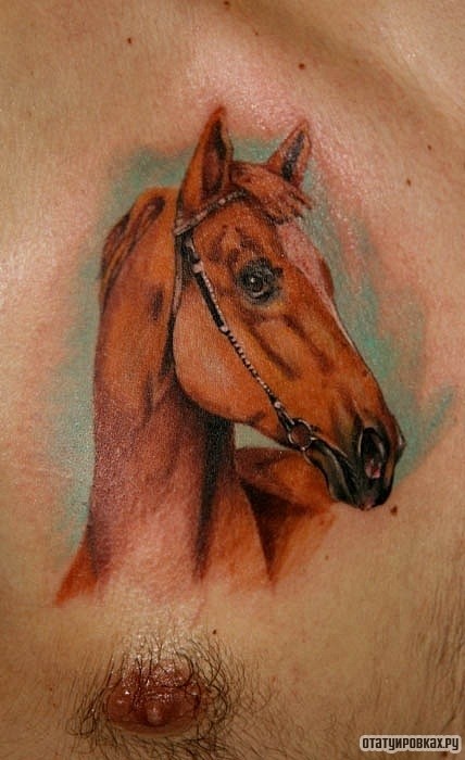 Фотография татуировки под названием «Лошадь»