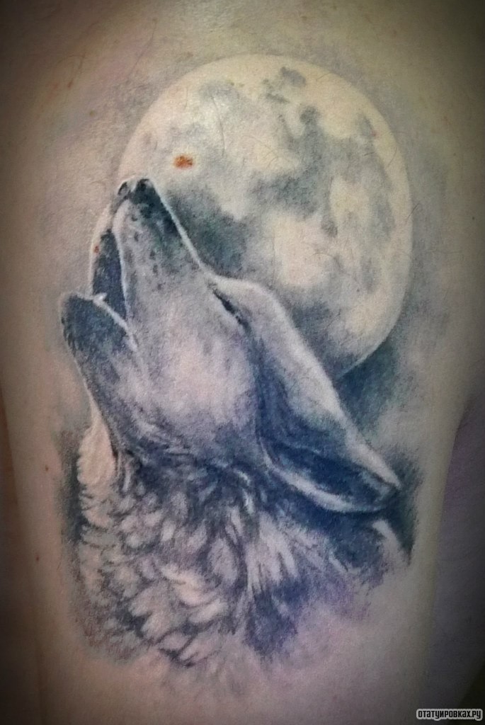 Фотография татуировки под названием «Волк воет на луну»