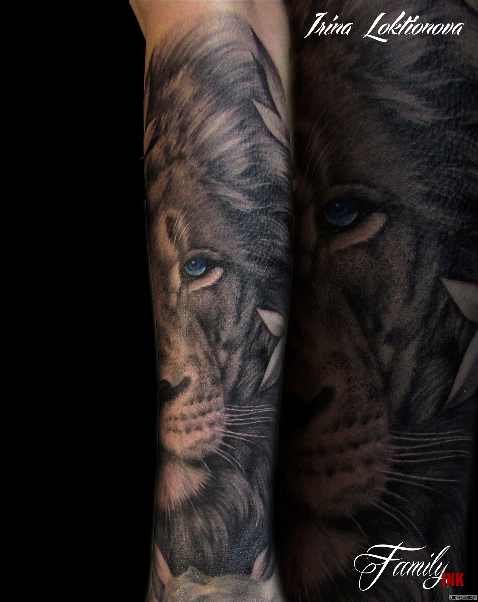 Фотография татуировки под названием «Лев и голубой его глаз»