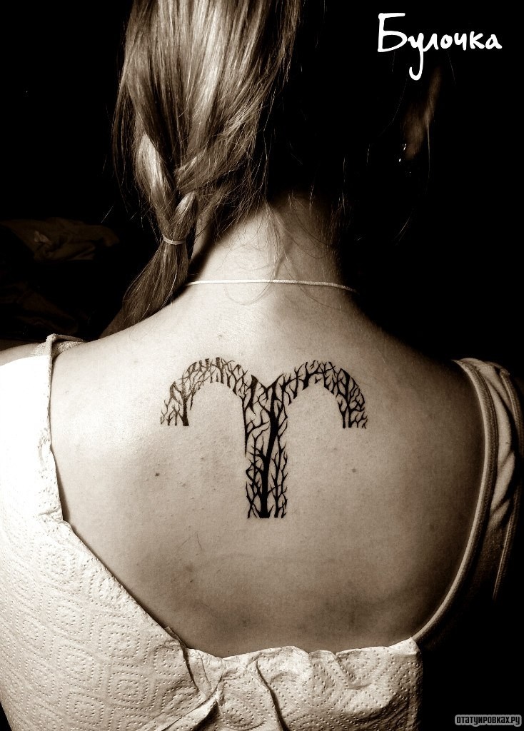 Фотография татуировки под названием «Дерево на фоне символа»