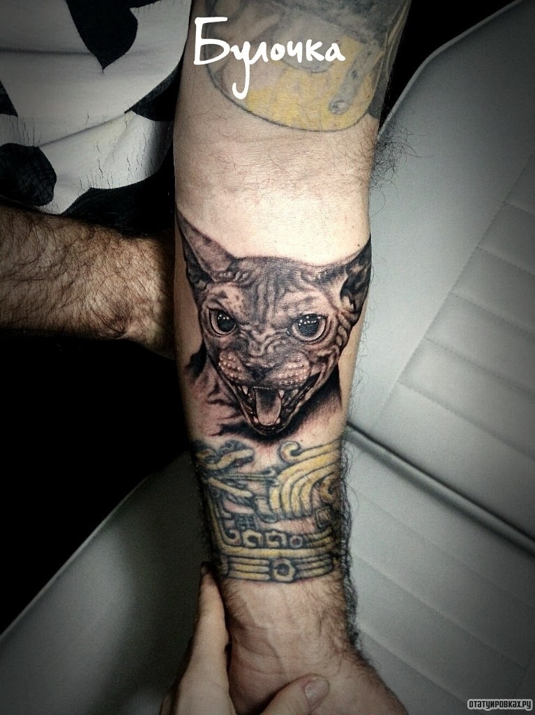 Фотография татуировки под названием «Жуткий оскал кота»
