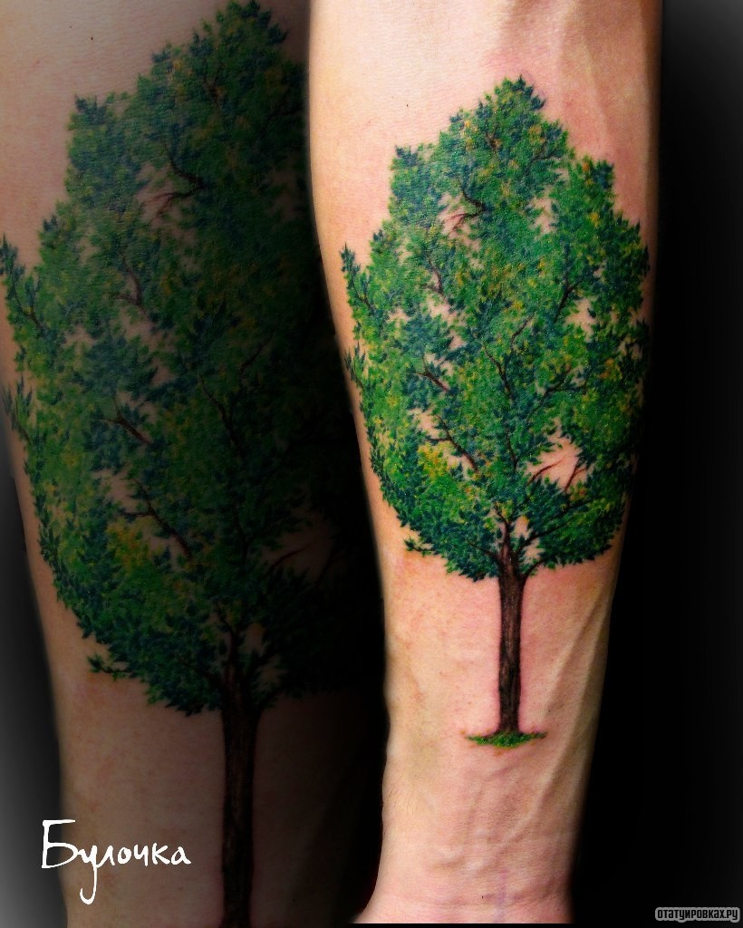 Фотография татуировки под названием «Зеленое дерево»