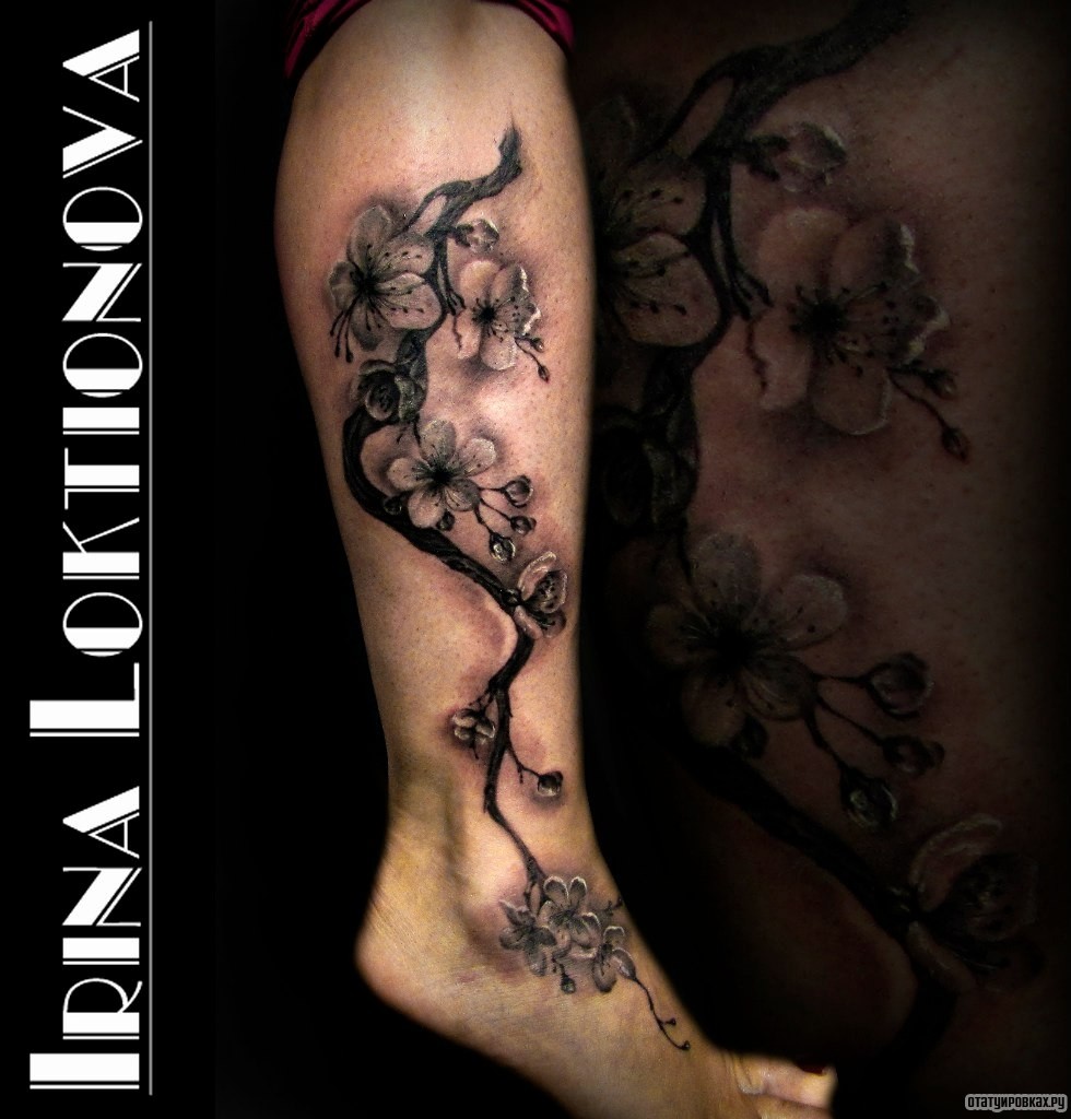 Фотография татуировки под названием «Дерево ветка сакура»