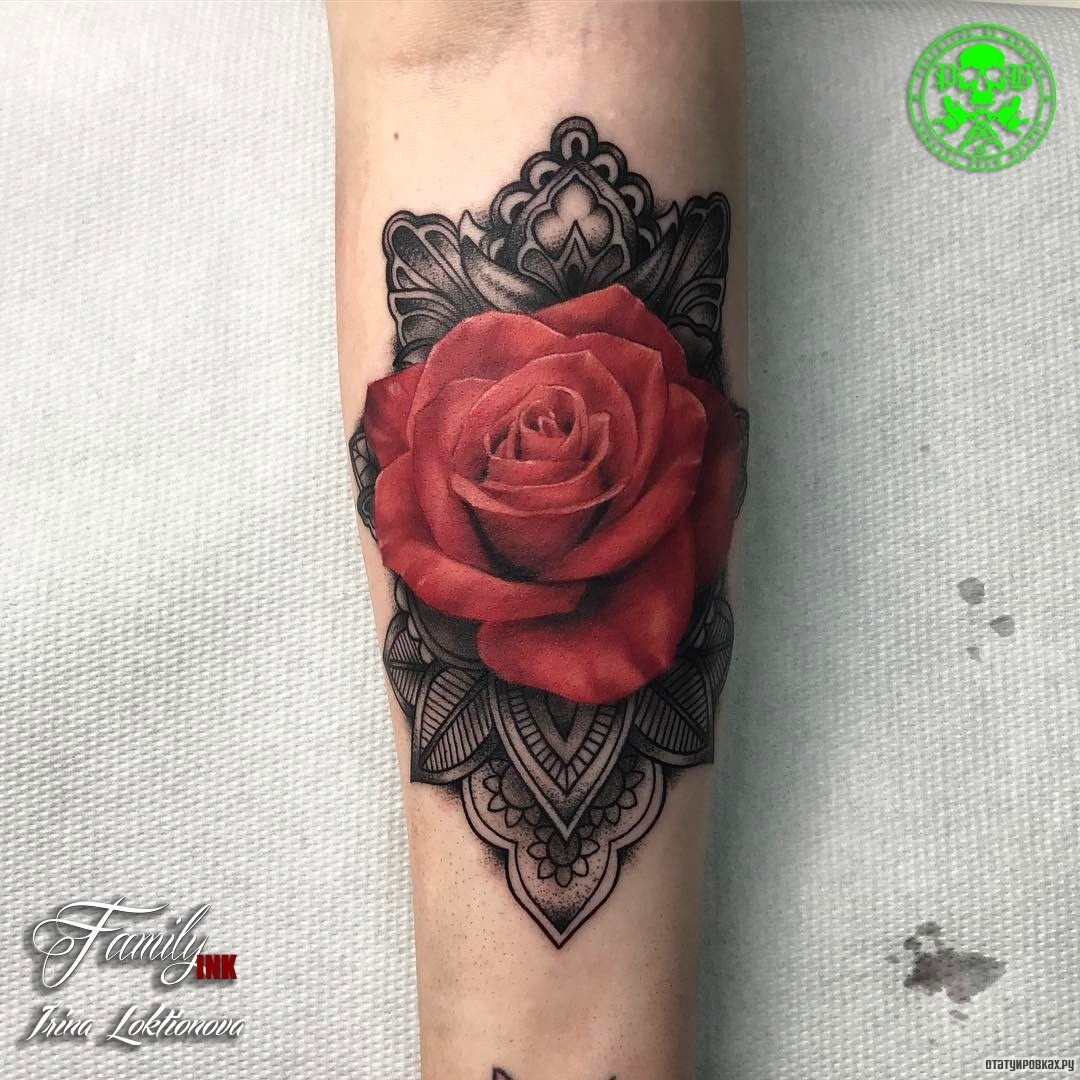 Фотография татуировки под названием «Роза на фоне черных листьев»