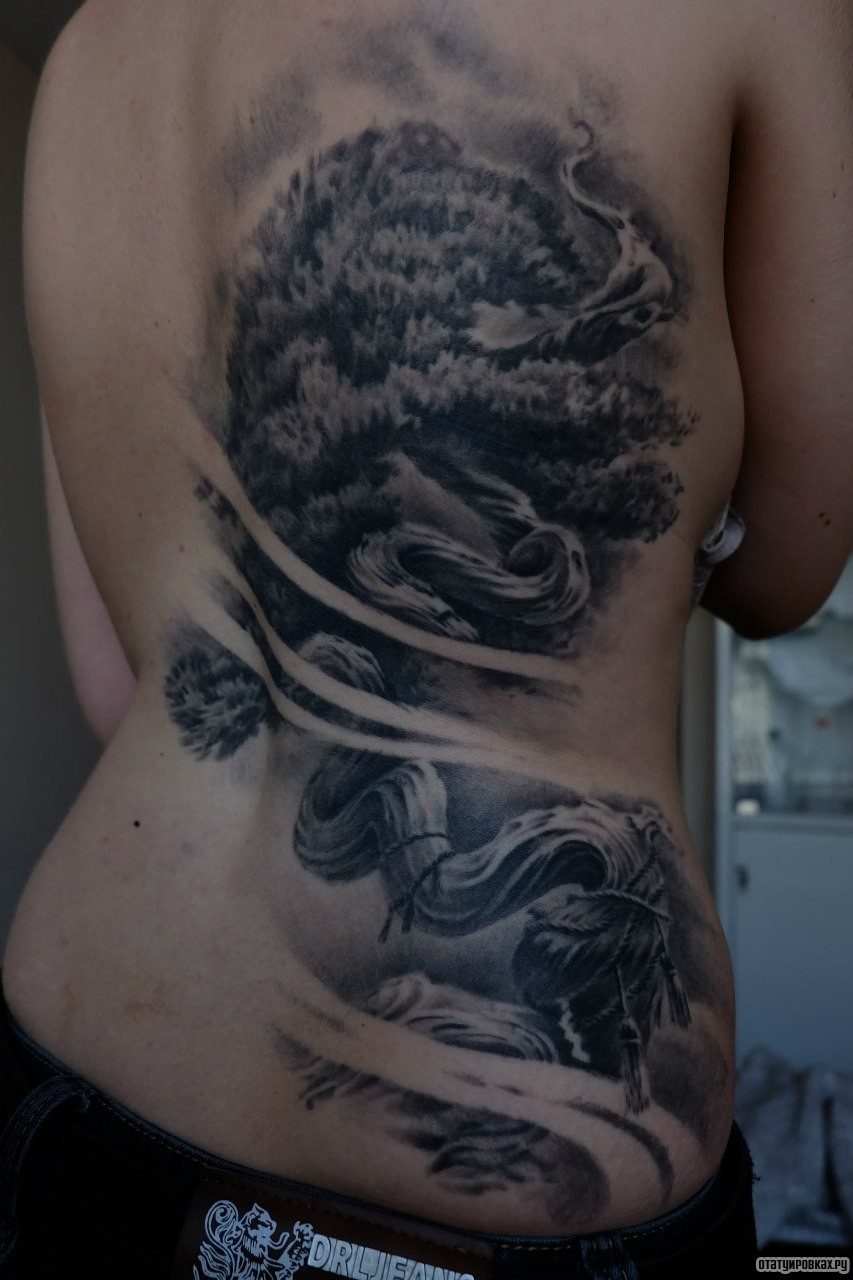 Фотография татуировки под названием «Могучее большое дерево»