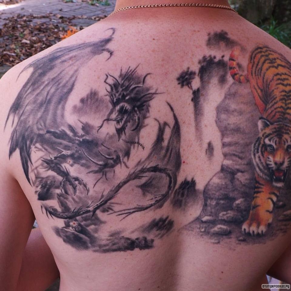 Фотография татуировки под названием «Дракон и тигр»