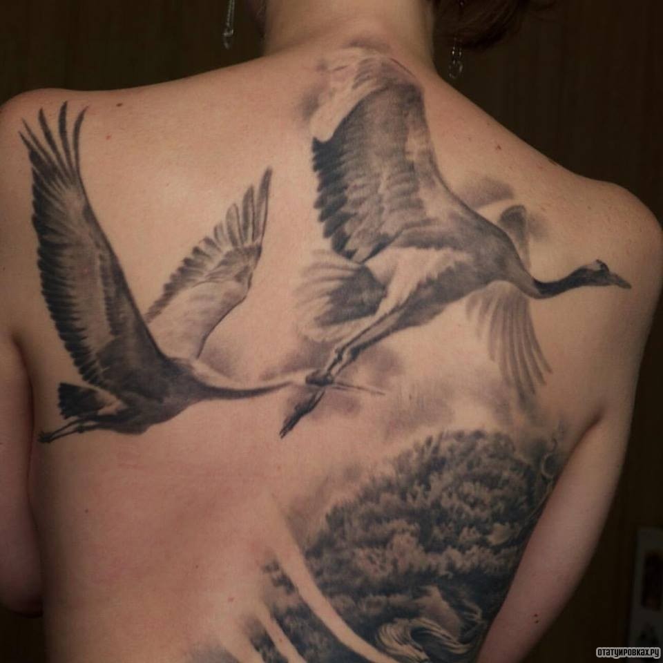 Фотография татуировки под названием «Два аиста»