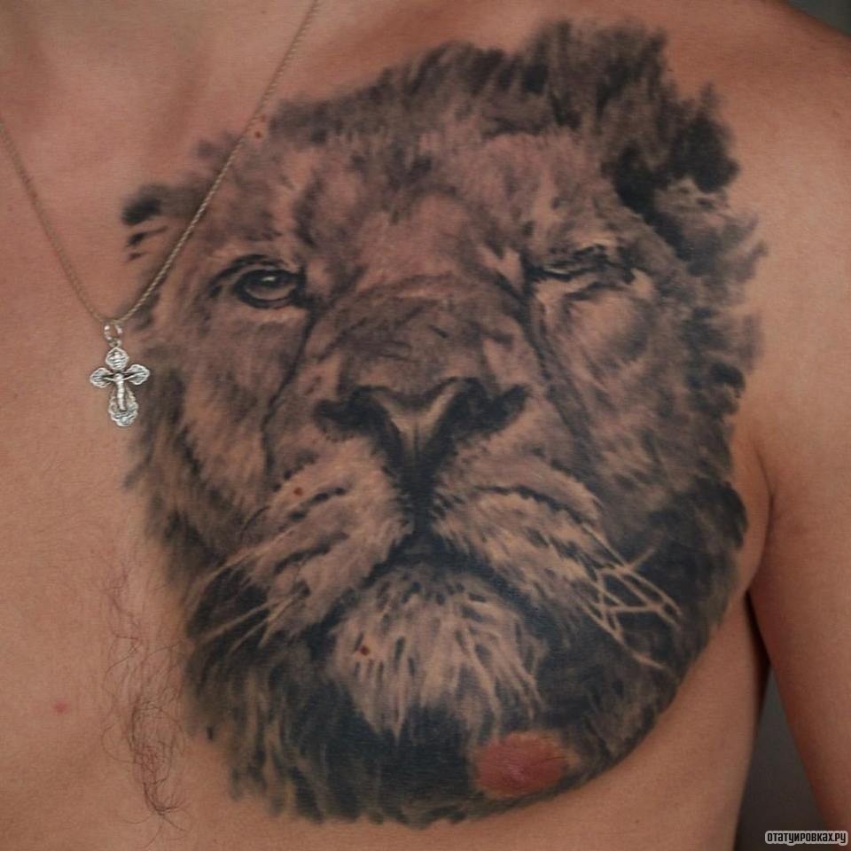 Фотография татуировки под названием «Лев подмигнул»