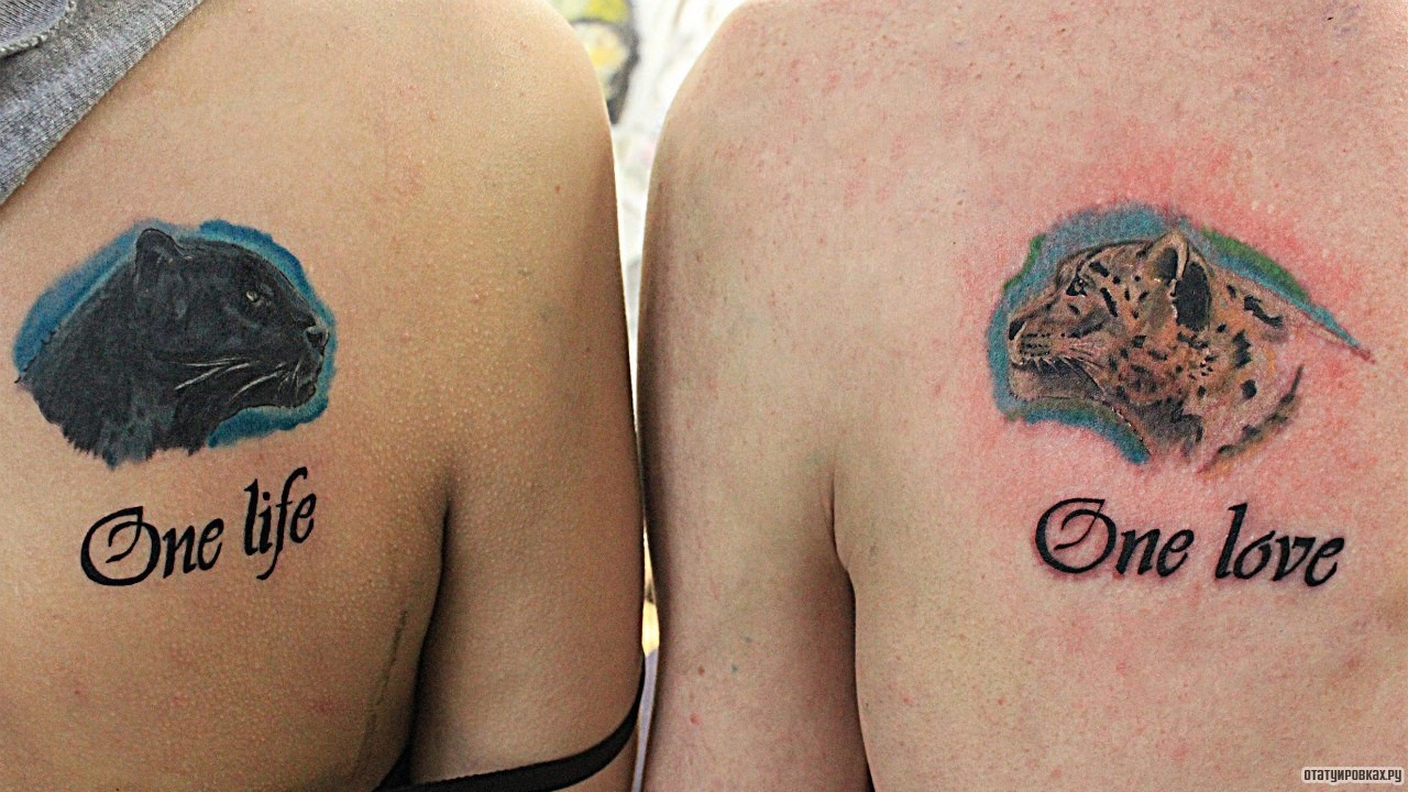 Фотография татуировки под названием «Пантера и тигр с надписями one love»