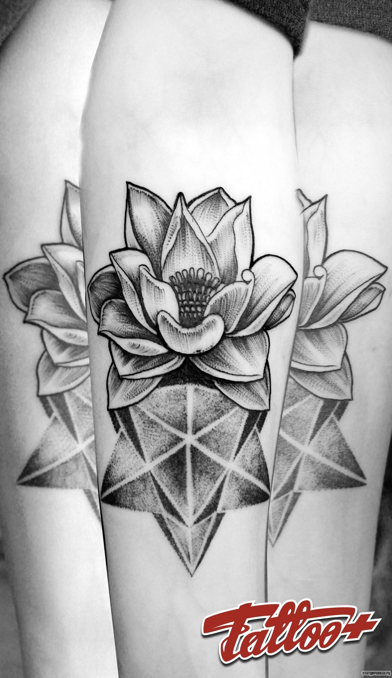 Фотография татуировки под названием «Лилия на звезде дотворк»