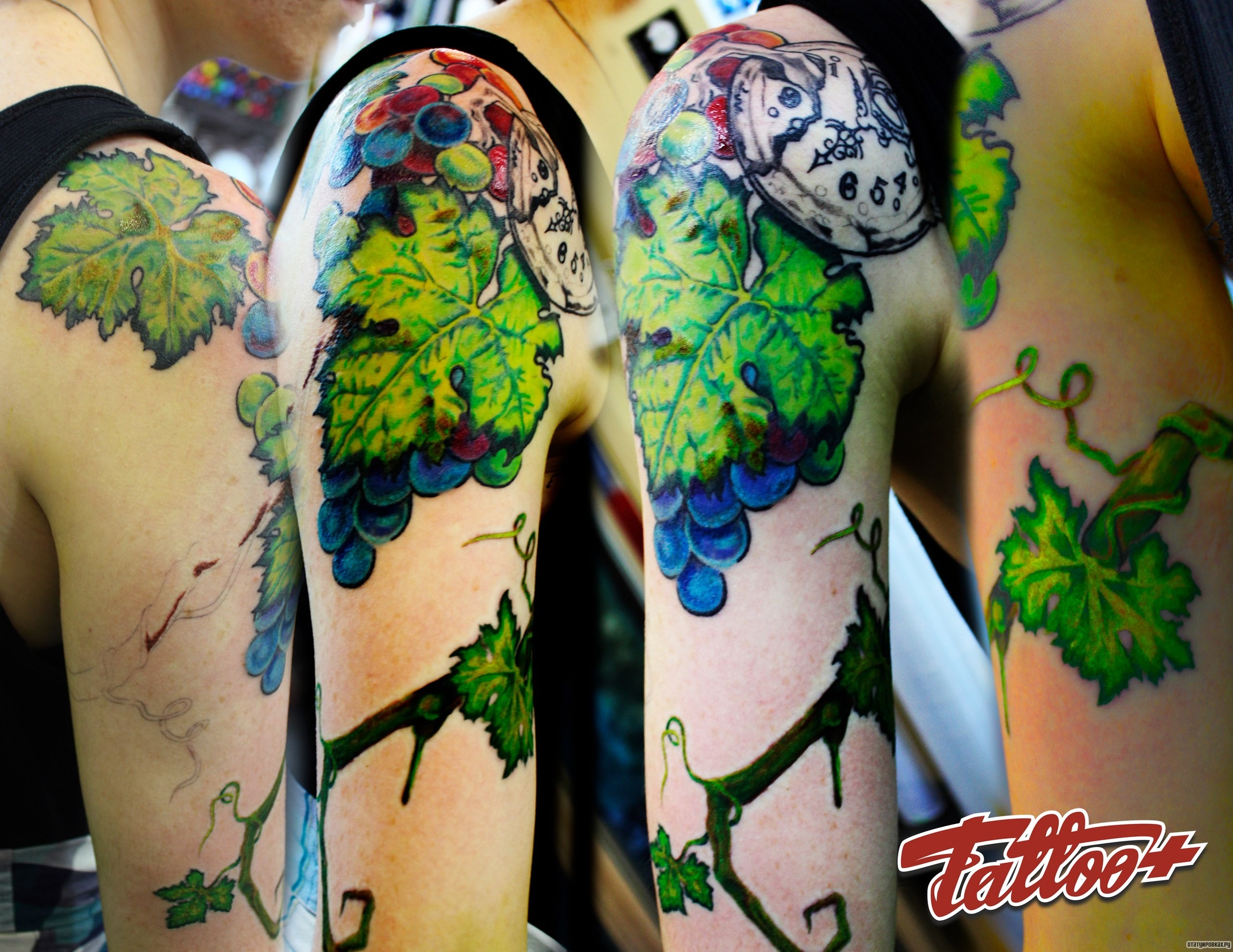 Фотография татуировки под названием «Синий виноград с листьями»