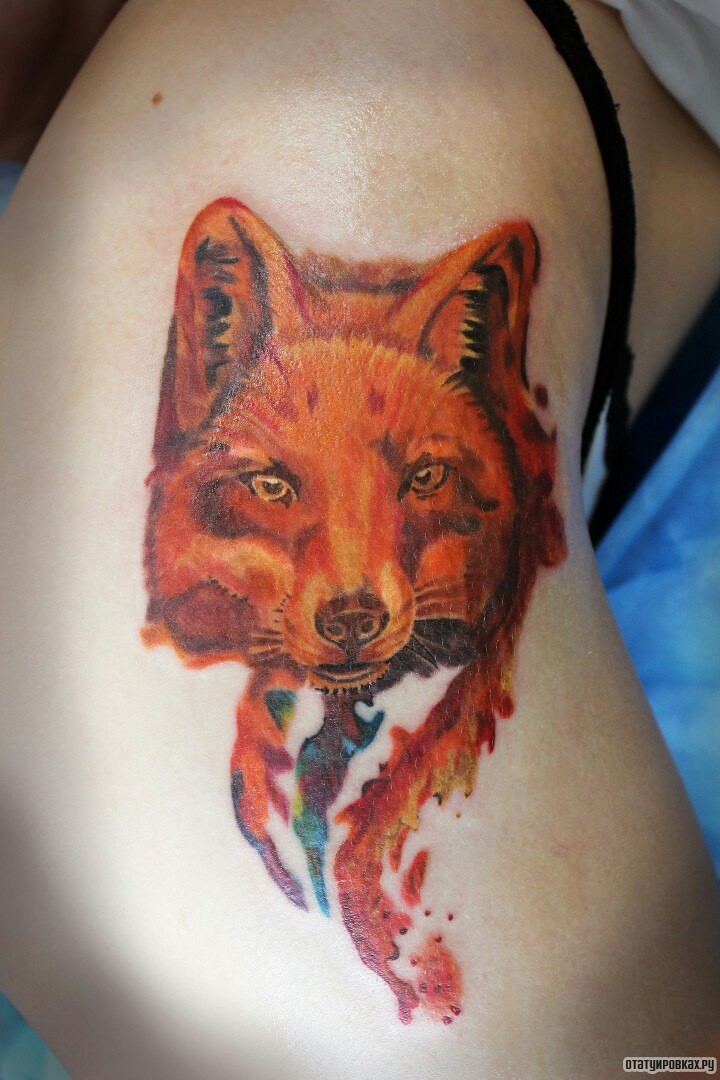Фотография татуировки под названием «Рыжая лиса акварель»