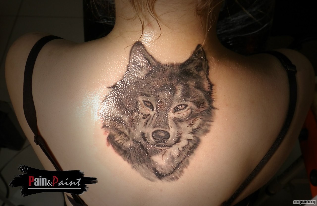 Фотография татуировки под названием «Довольный добрый волк»