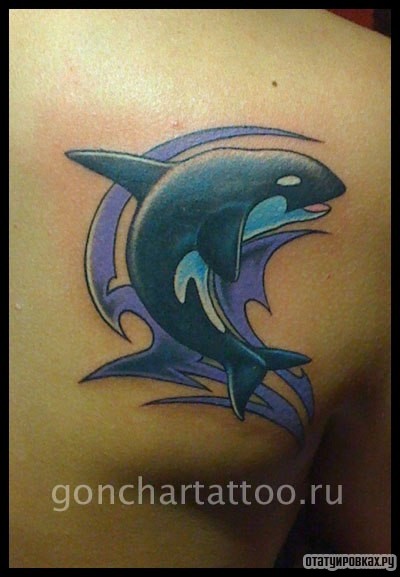 Фотография татуировки под названием «Акула и трайбл узор»