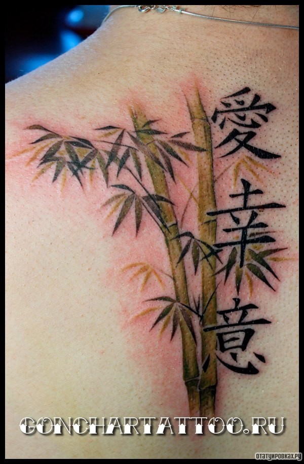 Фотография татуировки под названием «Стебли и листья бамбука»