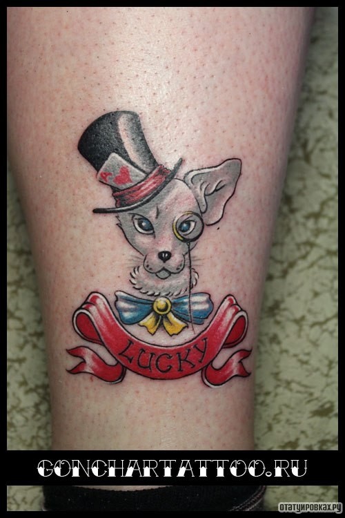 Фотография татуировки под названием «Кот в шояпе и надпись lucky»