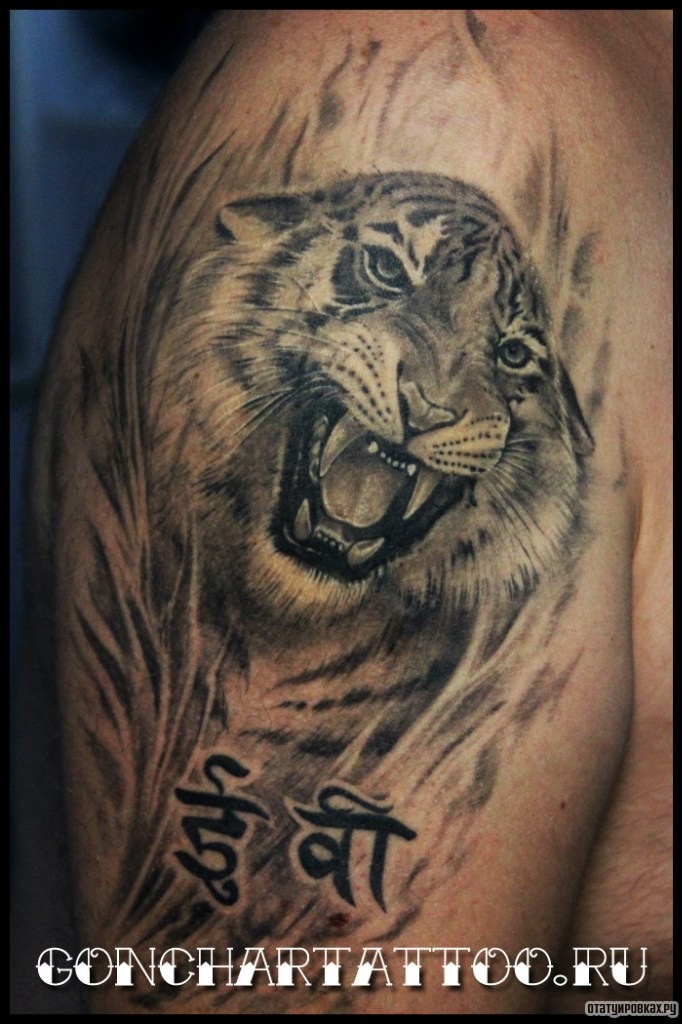 Фотография татуировки под названием «Тигр и иероглифы»