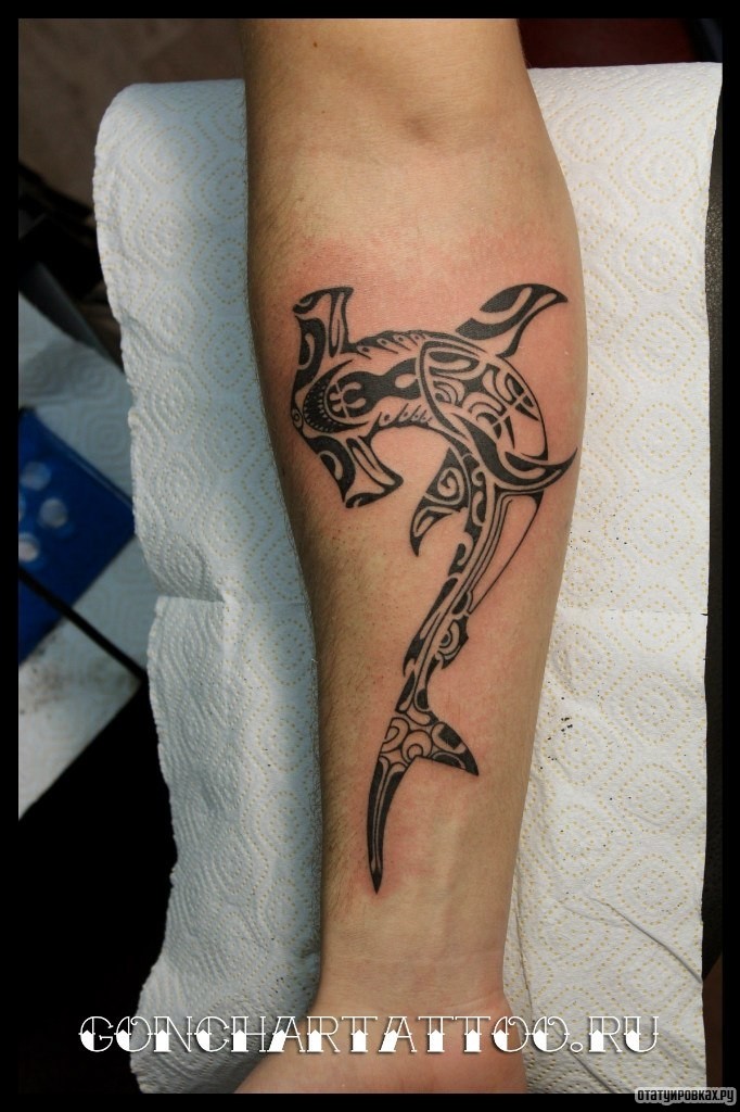 Фотография татуировки под названием «Акула молот полинезия»
