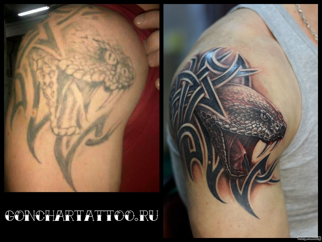 Фотография татуировки под названием «Змея с трайбл узором на плече»
