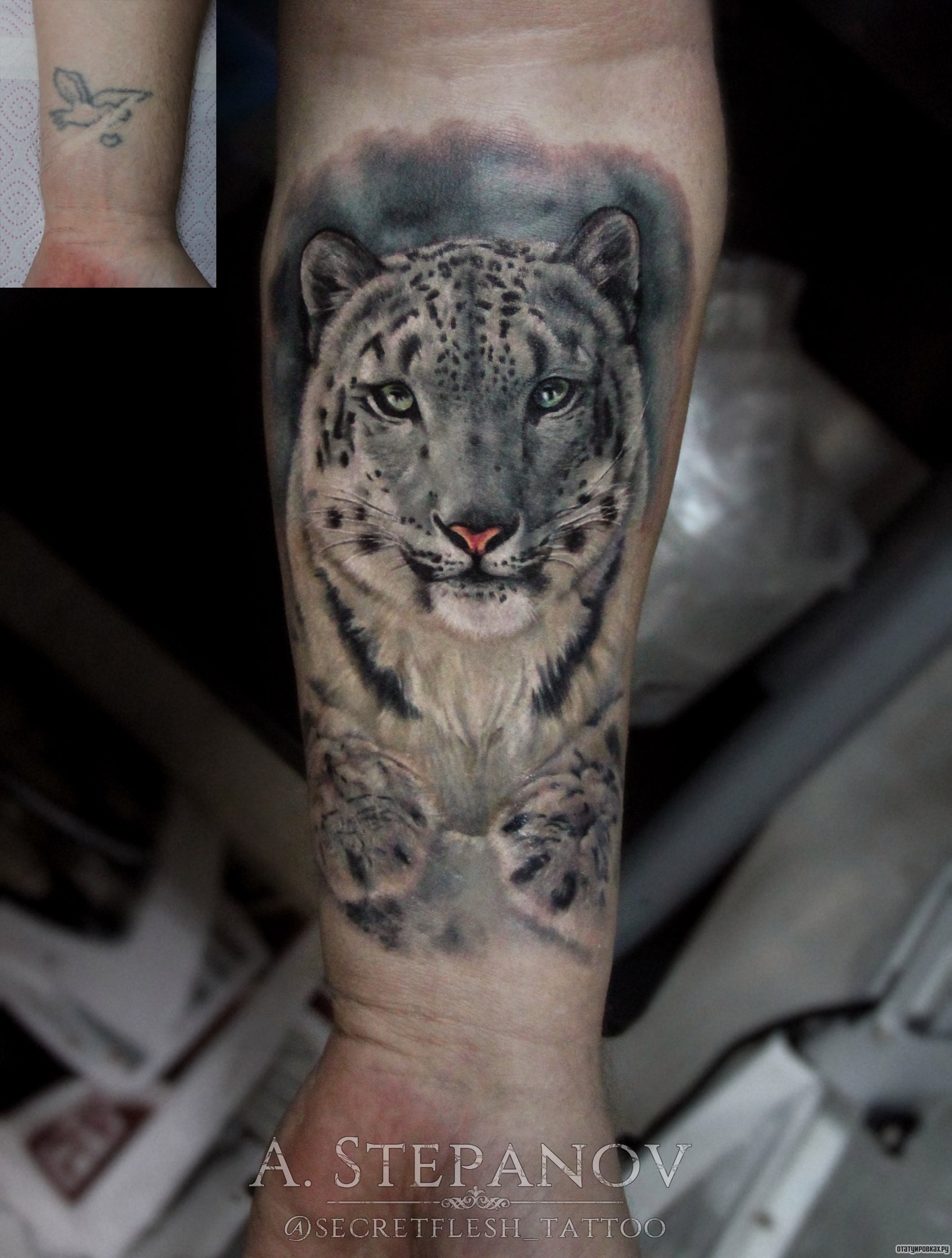 Фотография татуировки под названием «Белая тигрица на предплечье»