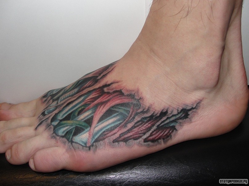 Фотография татуировки под названием «Кости и мышцы под кожей»