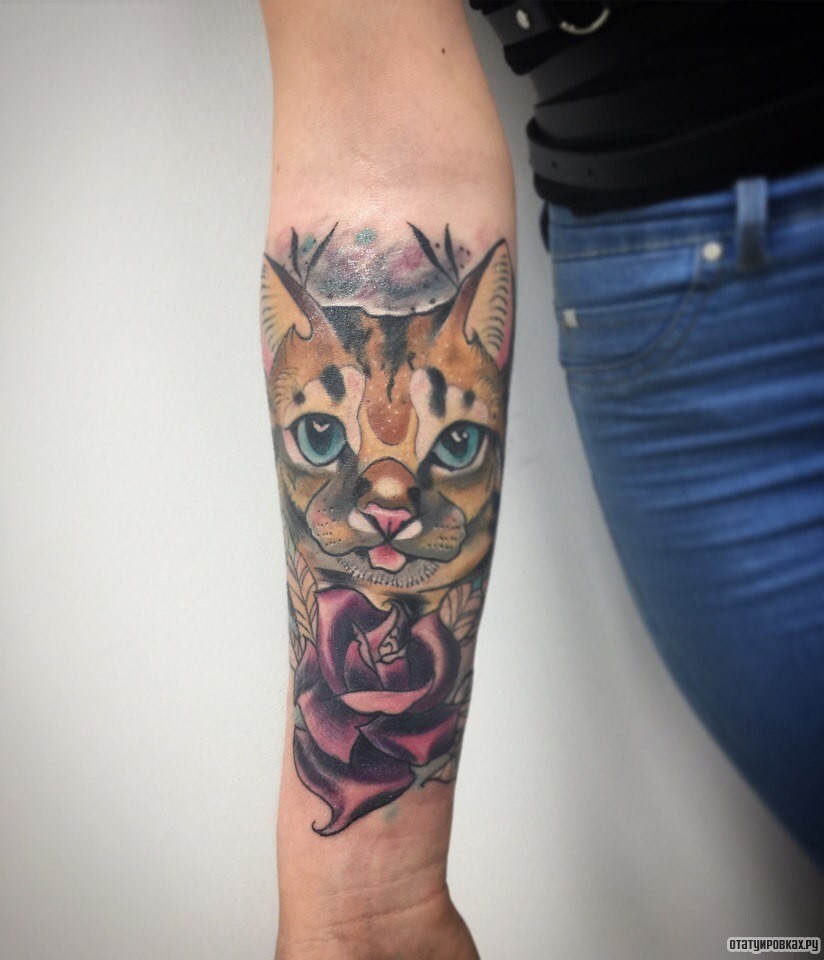 Фотография татуировки под названием «Кот с розой на предплечье»