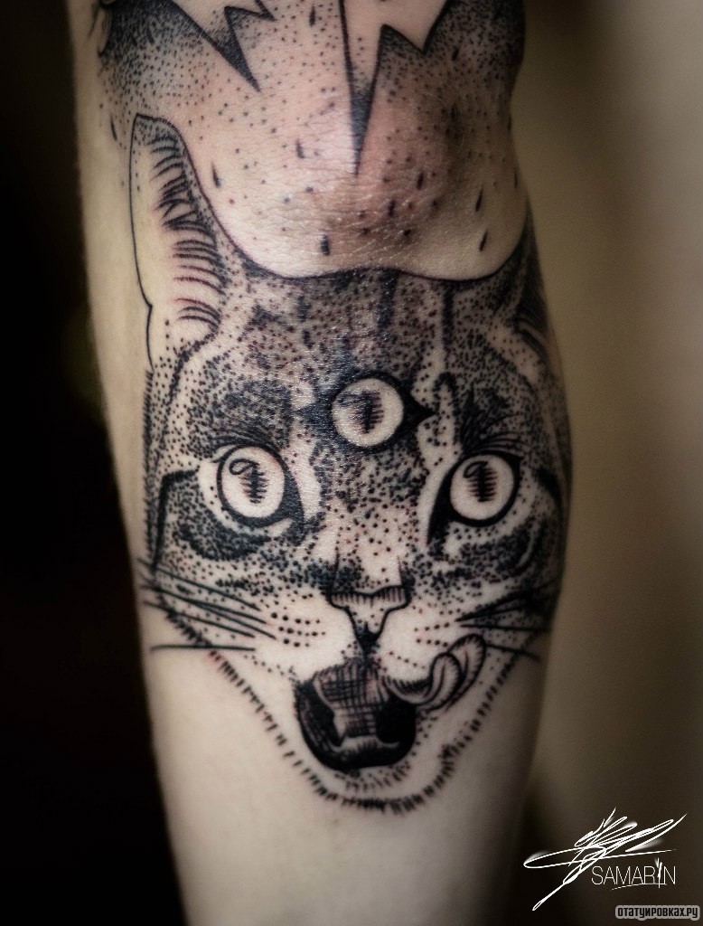 Фотография татуировки под названием «Кот дотворк на голени»